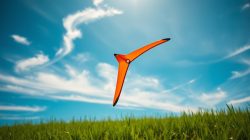 Olahraga Boomerang